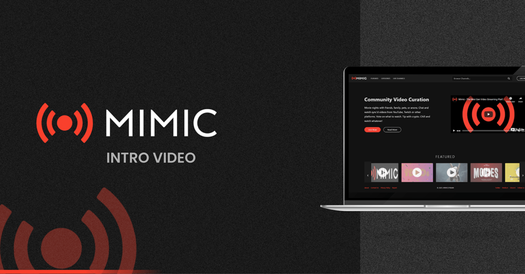 Mimic Intro Video Case Study